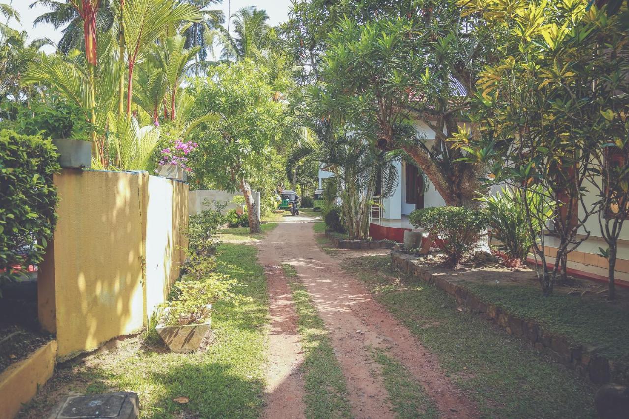 Hikka Surf Hostel 히카두와 외부 사진